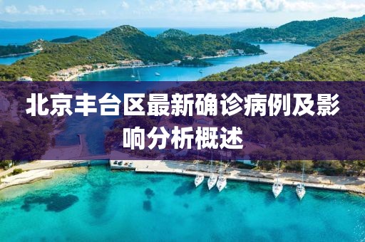 北京丰台区最新确诊病例及影响分析概述