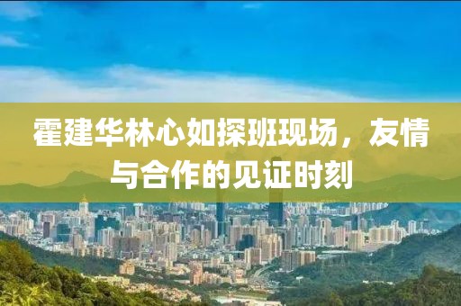 霍建华林心如探班现场，友情与合作的见证时刻