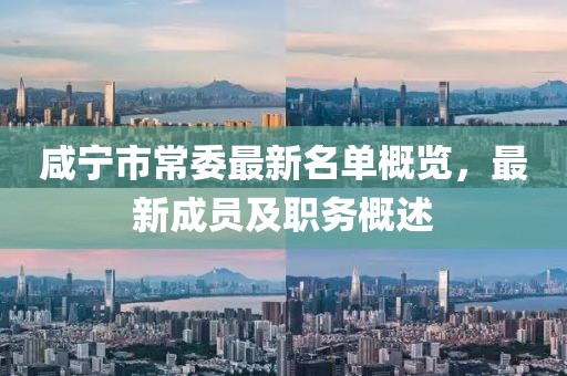 咸宁市常委最新名单概览，最新成员及职务概述