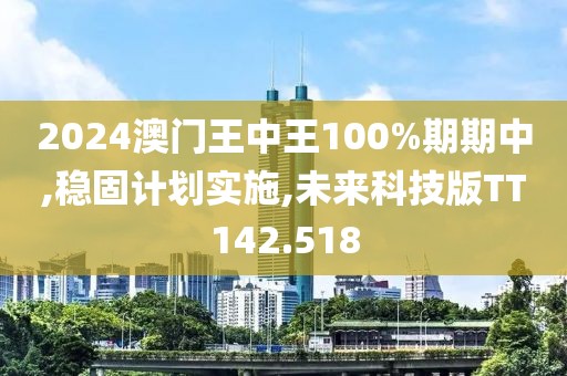 2024澳门王中王100%期期中,稳固计划实施,未来科技版TT142.518