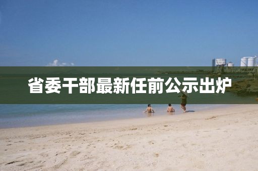 省委干部最新任前公示出炉