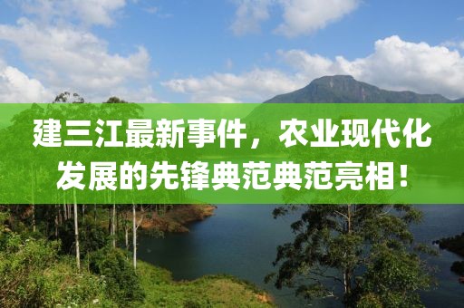 建三江最新事件，农业现代化发展的先锋典范典范亮相！