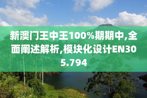 新澳门王中王100%期期中,全面阐述解析,模块化设计EN305.794