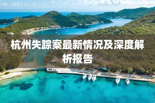 杭州失踪案最新情况及深度解析报告