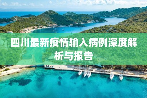 四川最新疫情输入病例深度解析与报告