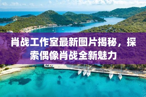 肖战工作室最新图片揭秘，探索偶像肖战全新魅力