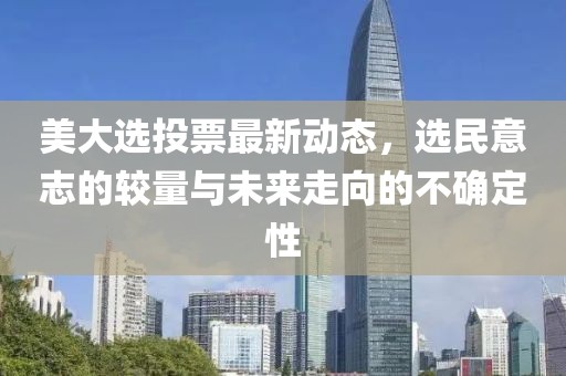 美大选投票最新动态，选民意志的较量与未来走向的不确定性