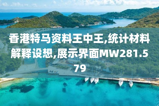 香港特马资料王中王,统计材料解释设想,展示界面MW281.579