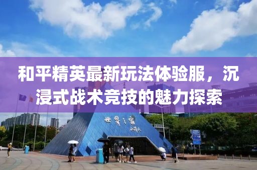 和平精英最新玩法体验服，沉浸式战术竞技的魅力探索