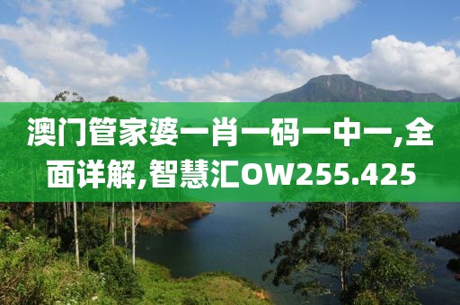 澳门管家婆一肖一码一中一,全面详解,智慧汇OW255.425