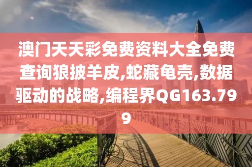 澳门天天彩免费资料大全免费查询狼披羊皮,蛇藏龟壳,数据驱动的战略,编程界QG163.799