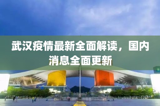 武汉疫情最新全面解读，国内消息全面更新