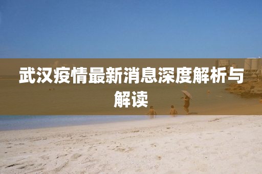 武汉疫情最新消息深度解析与解读