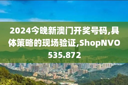 2024今晚新澳门开奖号码,具体策略的现场验证,ShopNVO535.872