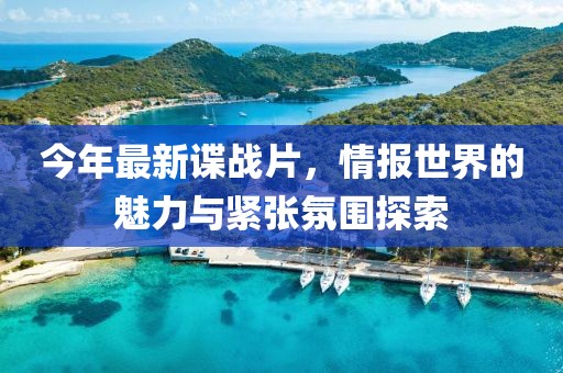 今年最新谍战片，情报世界的魅力与紧张氛围探索