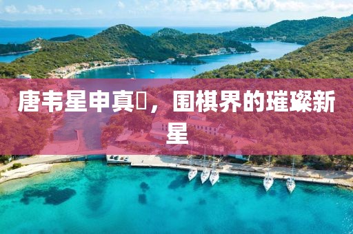 唐韦星申真谞，围棋界的璀璨新星