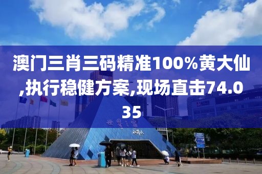 澳门三肖三码精准100%黄大仙,执行稳健方案,现场直击74.035
