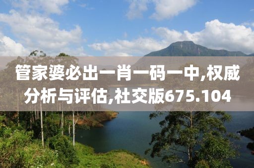 管家婆必出一肖一码一中,权威分析与评估,社交版675.104