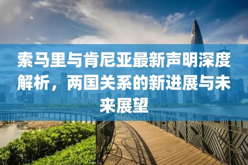 索马里与肯尼亚最新声明深度解析，两国关系的新进展与未来展望