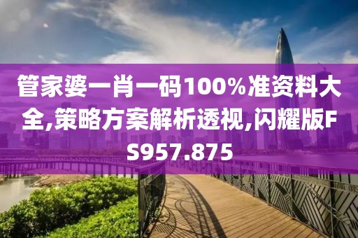 管家婆一肖一码100%准资料大全,策略方案解析透视,闪耀版FS957.875