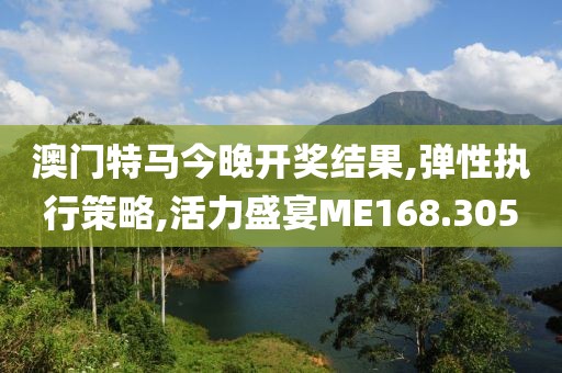 澳门特马今晚开奖结果,弹性执行策略,活力盛宴ME168.305
