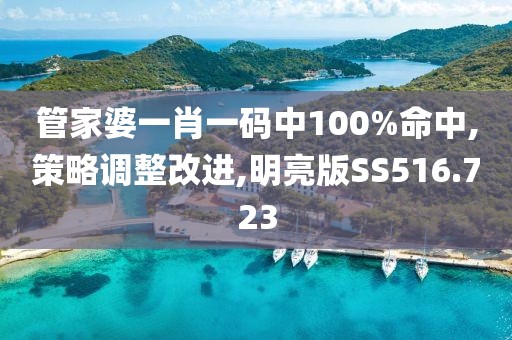 管家婆一肖一码中100%命中,策略调整改进,明亮版SS516.723