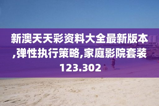 新澳天天彩资料大全最新版本,弹性执行策略,家庭影院套装123.302