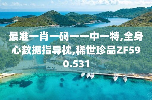 最准一肖一码一一中一特,全身心数据指导枕,稀世珍品ZF590.531