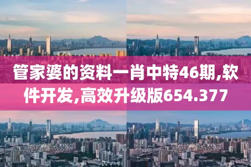 管家婆的资料一肖中特46期,软件开发,高效升级版654.377