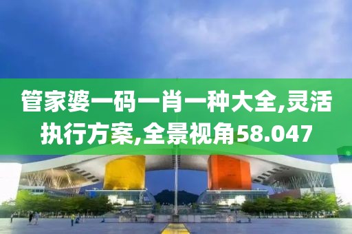 管家婆一码一肖一种大全,灵活执行方案,全景视角58.047
