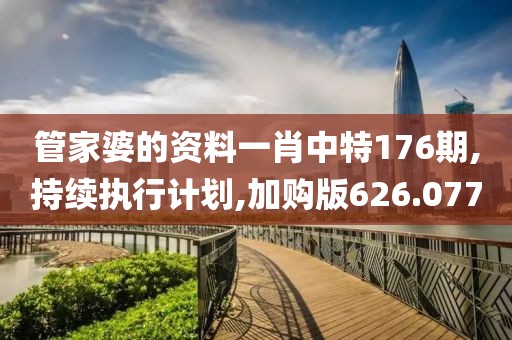 管家婆的资料一肖中特176期,持续执行计划,加购版626.077