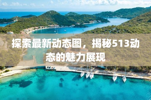 探索最新动态图，揭秘513动态的魅力展现
