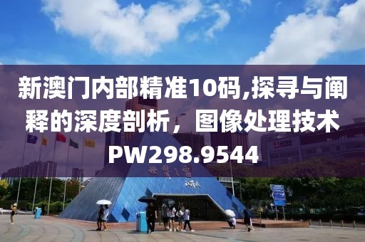 新澳门内部精准10码,探寻与阐释的深度剖析，图像处理技术PW298.9544
