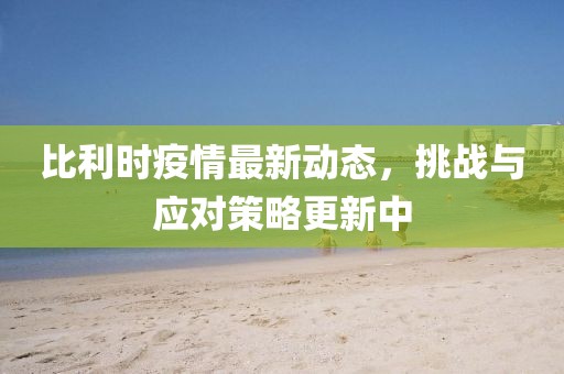 比利时疫情最新动态，挑战与应对策略更新中