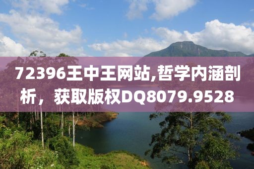 72396王中王网站,哲学内涵剖析，获取版权DQ8079.9528