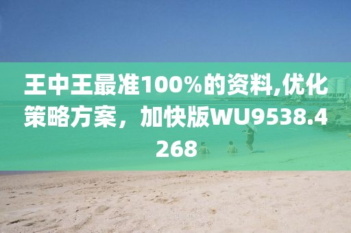 王中王最准100%的资料,优化策略方案，加快版WU9538.4268
