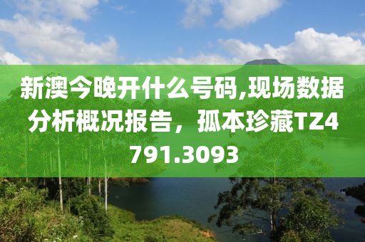 新澳今晚开什么号码,现场数据分析概况报告，孤本珍藏TZ4791.3093