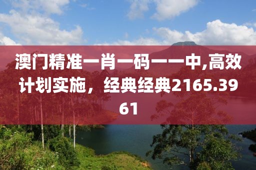 澳门精准一肖一码一一中,高效计划实施，经典经典2165.3961