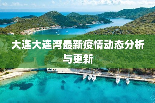 大连大连湾最新疫情动态分析与更新