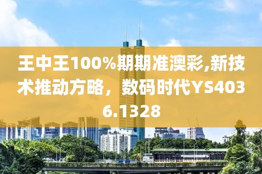 王中王100%期期准澳彩,新技术推动方略，数码时代YS4036.1328
