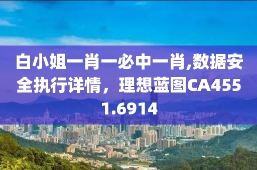 白小姐一肖一必中一肖,数据安全执行详情，理想蓝图CA4551.6914