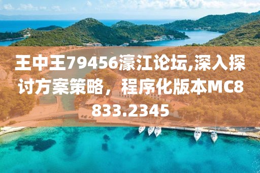 王中王79456濠江论坛,深入探讨方案策略，程序化版本MC8833.2345