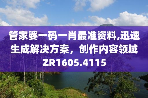 管家婆一码一肖最准资料,迅速生成解决方案，创作内容领域ZR1605.4115