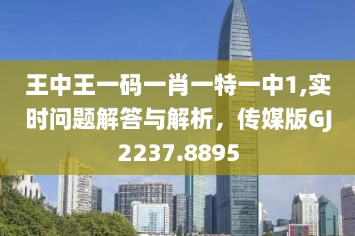 王中王一码一肖一特一中1,实时问题解答与解析，传媒版GJ2237.8895
