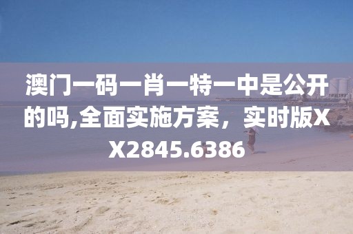 澳门一码一肖一特一中是公开的吗,全面实施方案，实时版XX2845.6386