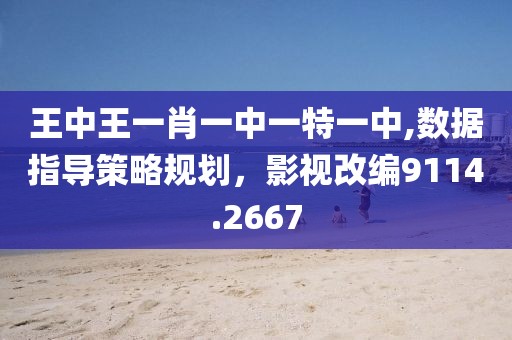 王中王一肖一中一特一中,数据指导策略规划，影视改编9114.2667