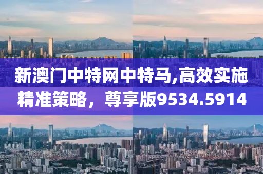 新澳门中特网中特马,高效实施精准策略，尊享版9534.5914