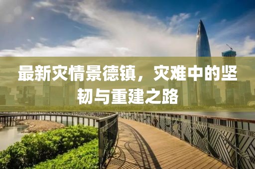 最新灾情景德镇，灾难中的坚韧与重建之路
