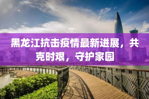 黑龙江抗击疫情最新进展，共克时艰，守护家园
