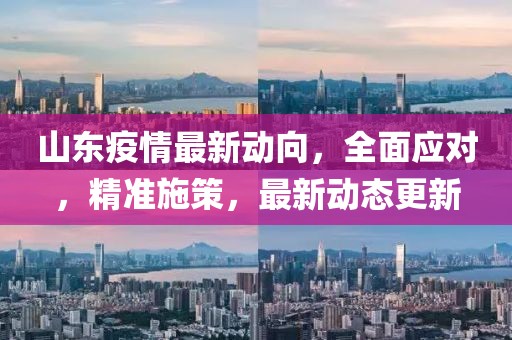 山东疫情最新动向，全面应对，精准施策，最新动态更新